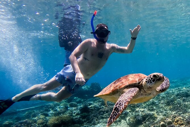 Snorkeling With Turtle and Statue in Gilis - Directions