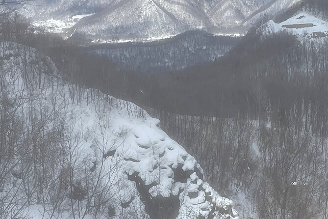 Snowshoeing Adventures in a Winter Wonderland - Sapporo - Cultural Experiences