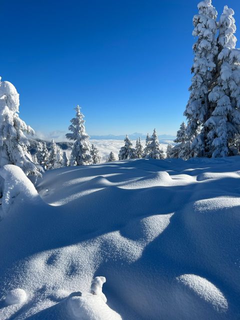 Snowshoeing in Vancouver's Winter Wonderland - Additional Information