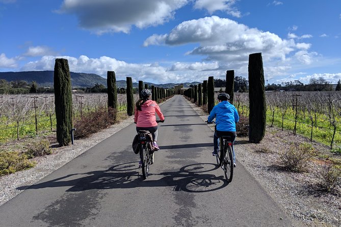 Sonoma Valley Pedal Assist Bike Tour With Lunch - Common questions