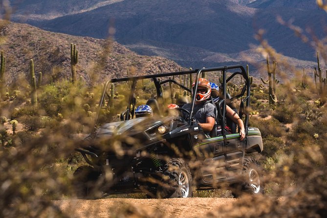 Sonoran Desert Guided UTV Adventure - Booking Information