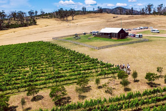 South Tasmania Full-Day Small-Group Wine Tour  - Hobart - Cancellation Policy