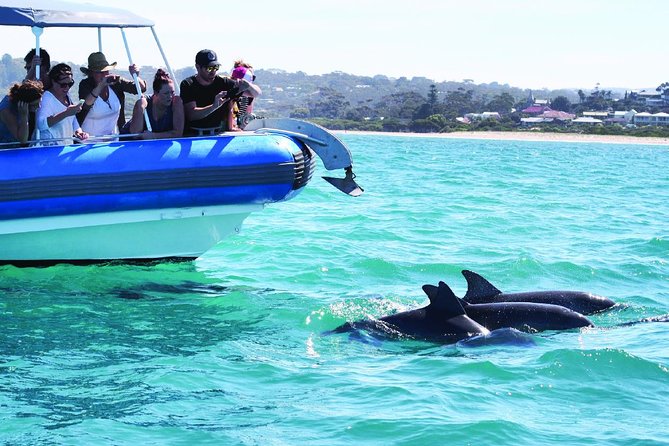 Southern Ocean Adventure From Victor Harbor - Tour Experience Highlights