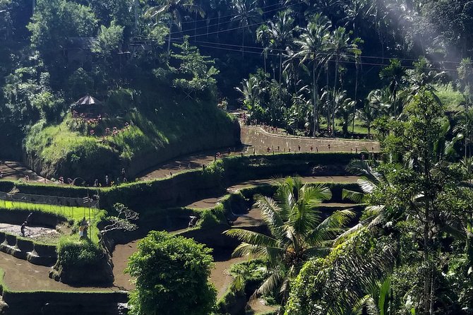 Spectacular Eastern Bali Tour - Common questions