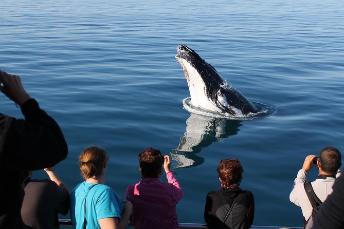 Spirit of Hervey Bay Whale Watching Cruise - Overall Satisfaction