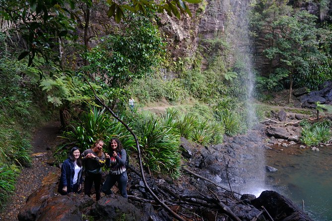 Springbrook National Park Shared Waterfalls Tour  - Surfers Paradise - Common questions