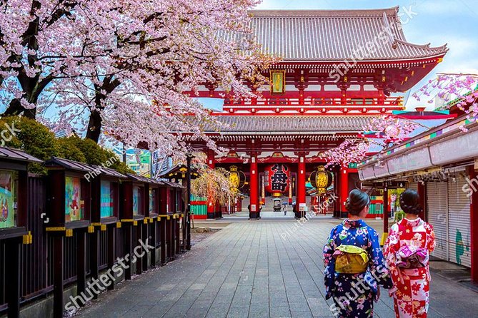 Starter Tour in Tokyo _Visiting Must-See Spots and Practical Guidance - Safety Precautions for Travelers