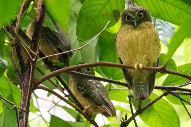 Sulawesi Tangkoko National Park Private Tour - Common questions