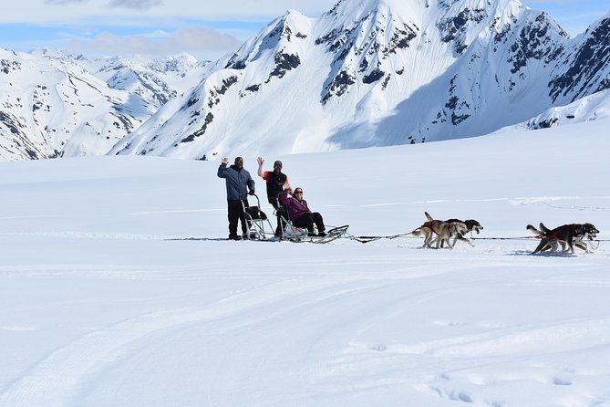 Summer Glacier Dogsledding Tour From Girdwood - Cancellation Policy