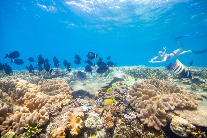 Sunlover Reef Cruises Cairns Great Barrier Reef Experience - Cancellation Policy