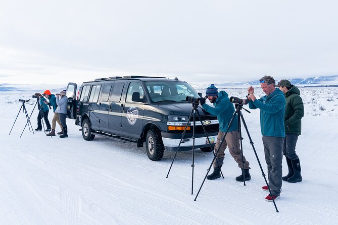 Sunrise 4-Hour Grand Teton Wildlife Adventure - Sum Up