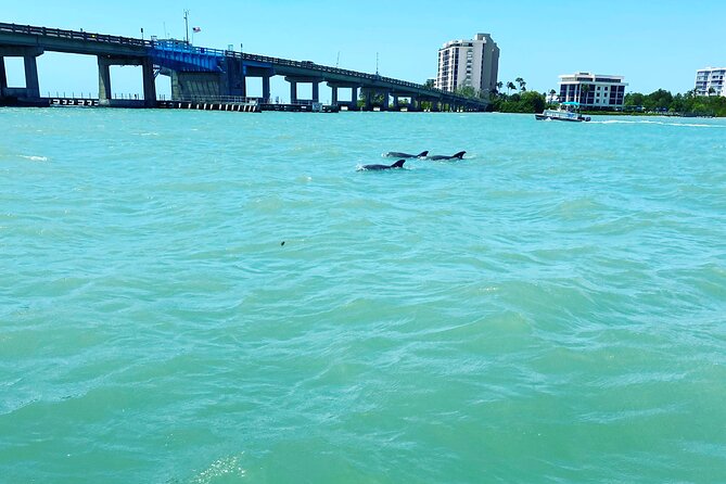 Sunset and Dolphin Cruise Around Fort Myers Beach - Sunset Views and Wildlife Sightings