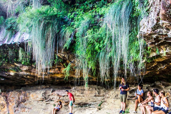 Sunset Blue Mountains Wilderness & Wildlife Tour From Sydney - Weather-Dependent Experience