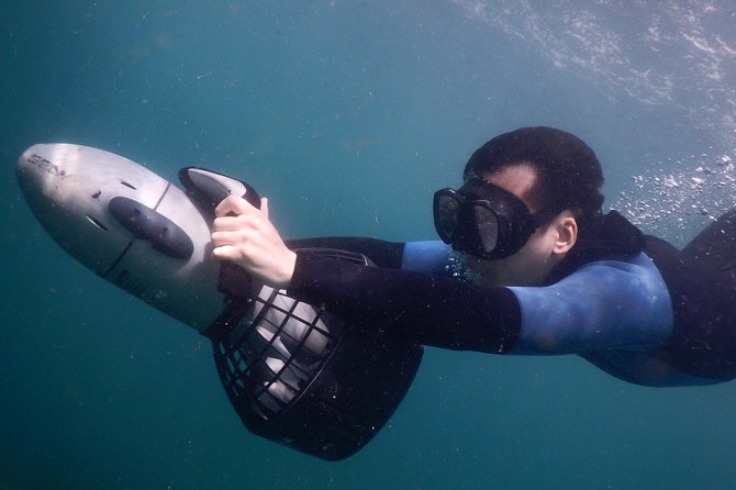 Sydney Underwater Scooter Tours - Traveler Photos