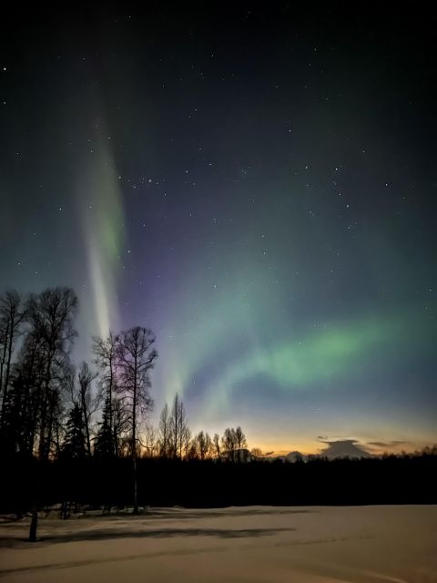 Talkeetna: Winter Dog Sled Tour Morning or Night Mush! - Inclusions and Logistics