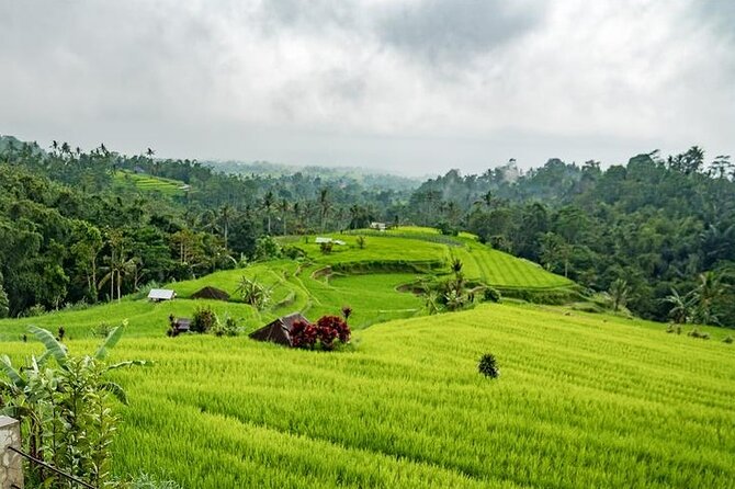 Tanah Lot and North Bali Tour: Scenic Journey - Viator Information and Details