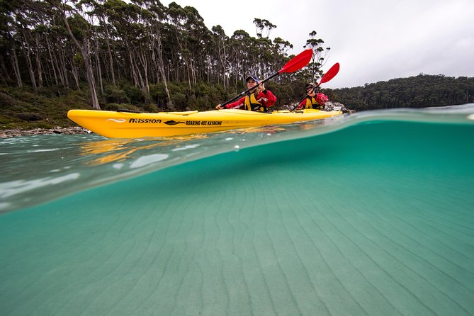 Tasman Peninsula Full Day Kayaking Tour - Additional Information