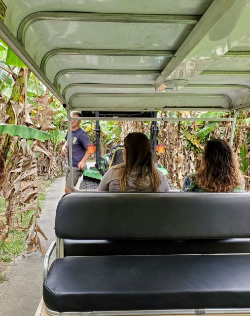 Taste of the Tropics - Fruit Stand and Winery Visits