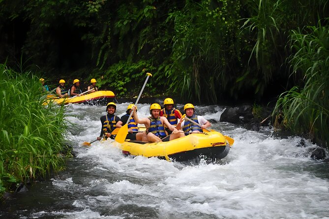 Telaga Waja White Water Rafting - With No Step or Stair : Bali Best Adventures - Positive Reviews and Feedback From Travelers