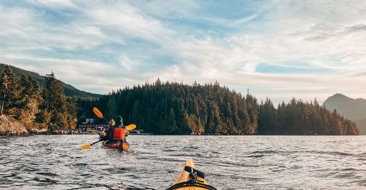 Telegraph Cove: 2 Hour Evening Kayak Tour - Sunset Wildlife Encounters