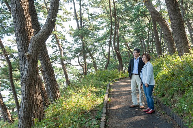 The Best Morning and Michinoku Shiokaze Trail Trekking in the Tanesashi Coast Natural Grassland - Directions to Trail