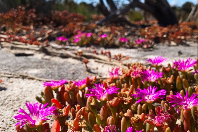 The Big Wave Rock Private Day Tour - Booking Information