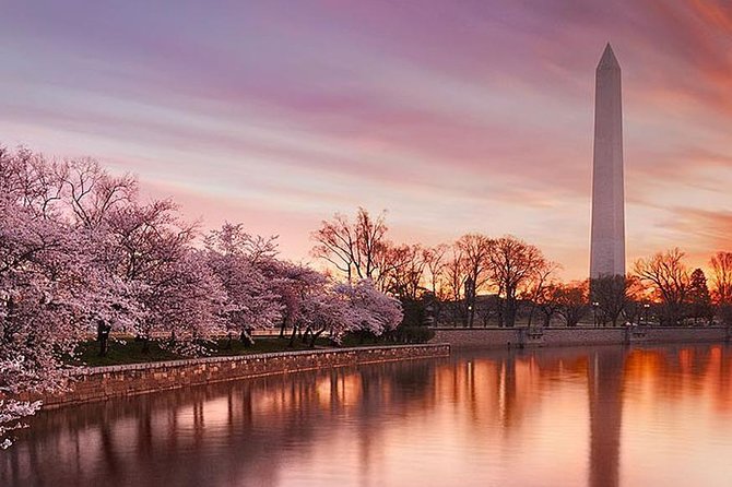 The DC Cherry Blossom Tour - Lowest Price Guarantee