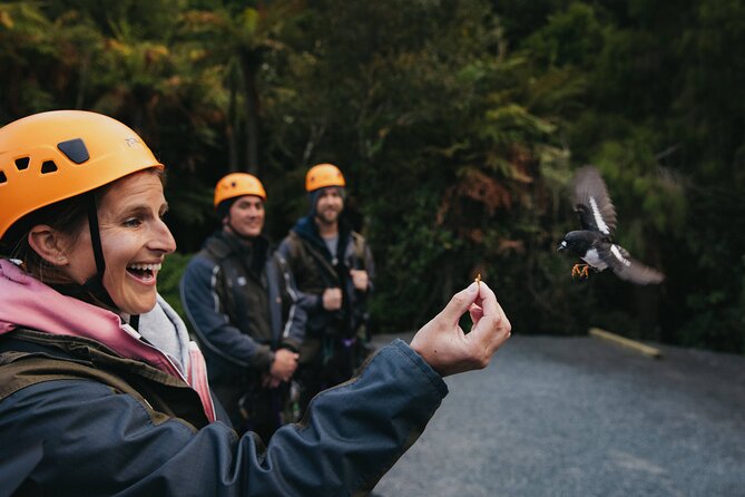 The Original Canopy Zipline Experience Private Tour From Auckland - Traveler Experience Features