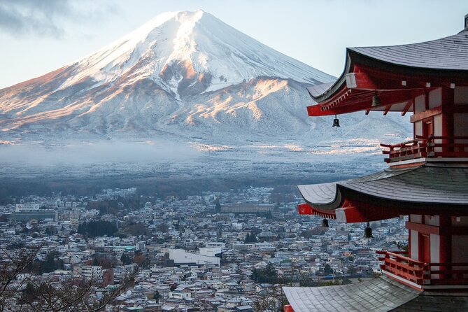 The Taste of Japan: 2-Day Tour of Tokyo and Mount FUJI - Culinary Delights in Japan