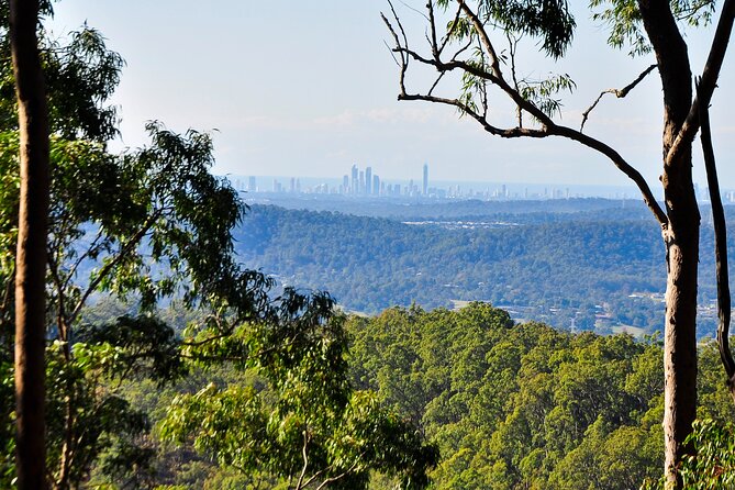 The Tastes of Tamborine Mountain - Unique Mountain Flavors