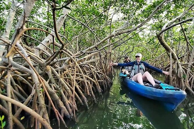 Thousand Island Mangrove Tunnel, Manatee & Dolphin Kayak Tour W/Cocoa Kayaking - Customer Reviews and Recommendations