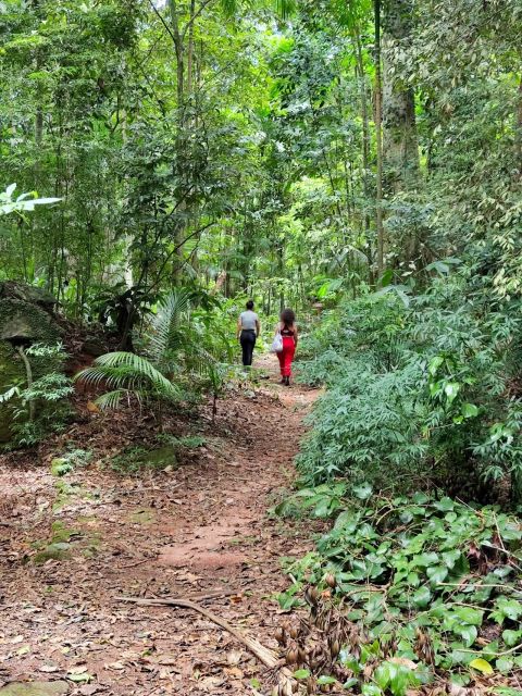 Tijuca Forests Hike: Caves, Waterfalls and Great Views - Additional Information