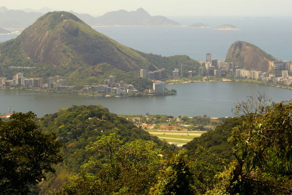 Tijuca Rain Forest Tour by Jeep From Rio De Janeiro - Essential Information for Tour Participants