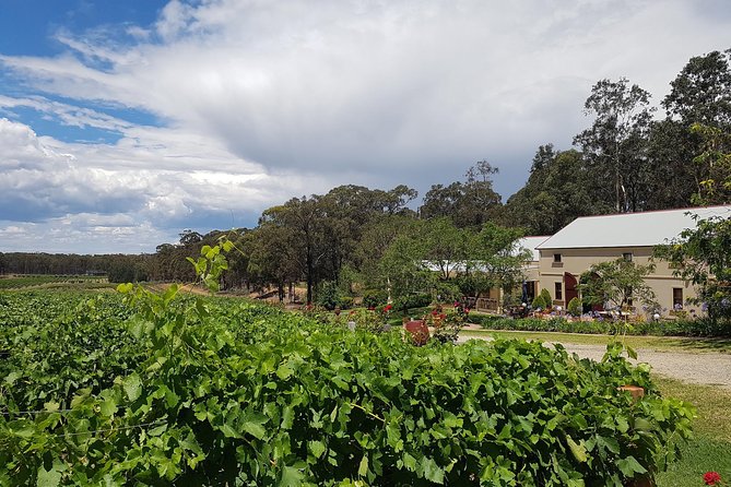 Tintilla Estate: Wine Tasting With a Meat and Cheese Platter - Accessibility Considerations