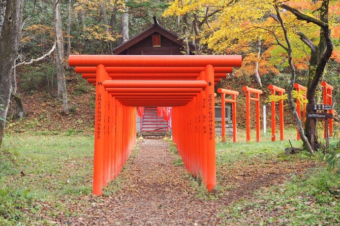 Togakushi Shrine Hiking Trails Tour in Nagano - Safety Measures and Tips