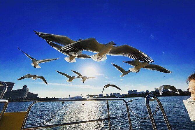 Tokyo Water Taxi Bayzone Tour - Booking Information