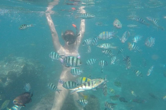 Top 1 Snorkeling at Blue Lagoon Bali All Included - Booking and Reservation Process