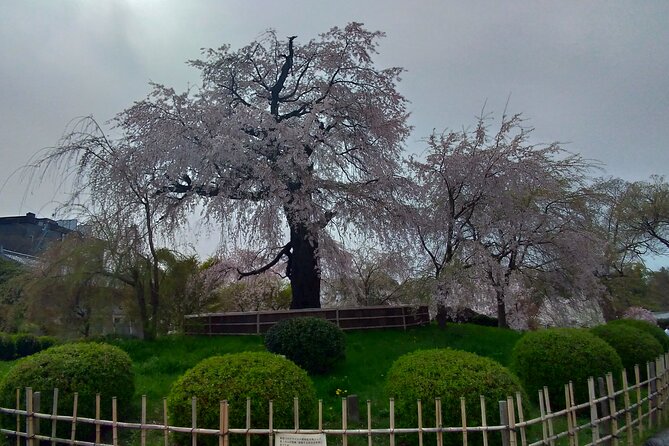 Traditional Kyoto Full-Day Bike Tour and Optional Sake Tasting - End Point