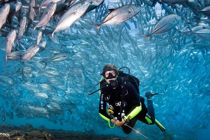 Tulamben Diving Tour Shipwreck USS Bali - Traveler Reviews