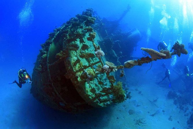 Tulamben Diving USS Liberty Shipwreck Scuba Dive - Service Quality and Satisfaction