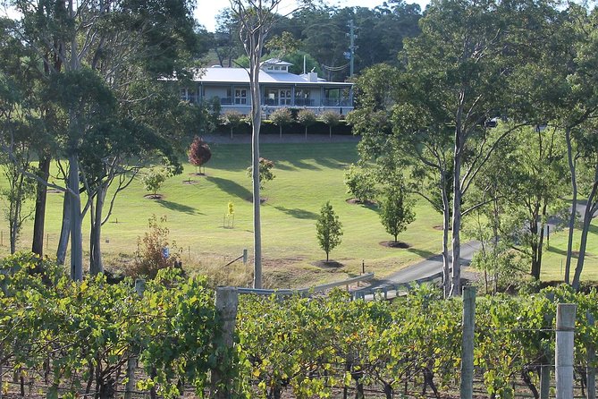 Tulloch Wines- Tasting of 6 Pokolbin Dry Red Shiraz Vintages With Charcuterie - Reservation and Cancellation Policy