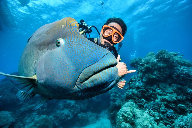 Tusa Reef Tours All Inclusive Great Barrier Reef Tour From Cairns - Additional Tour Information