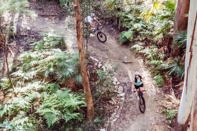 Two-Hour Guided Electric Mountain Bike Tour  - Noosa & Sunshine Coast - Weather Considerations