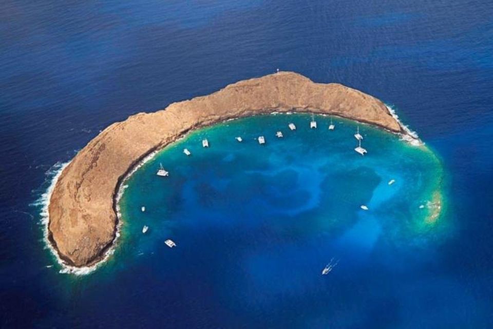 Two Stop Deluxe Molokini Snorkel - Meeting Point