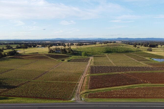 Tyrrells Vat 1 Vertical Wine Tasting in Pokolbin, NSW - Cancellation Policy