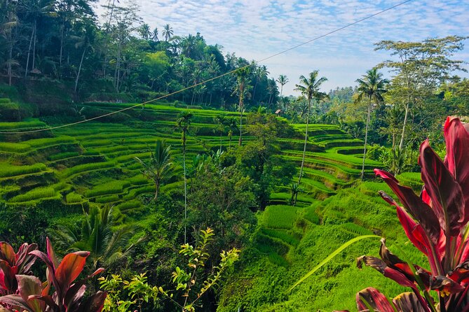 Ubud Best Tour - Pricing Information and Options