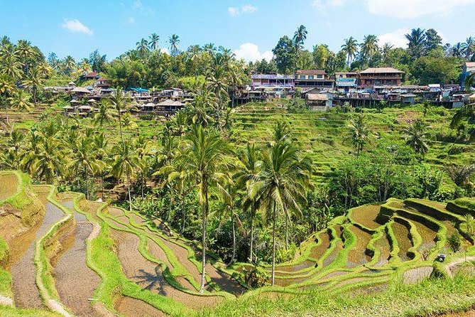 Ubud Countryside Tour: Campuhan Ridge Walk and Rice Terrace - Photo Gallery