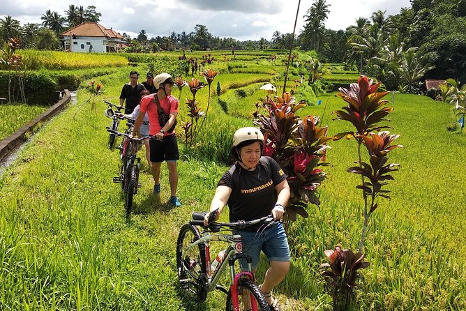 Ubud Cycling Tour - Sum Up