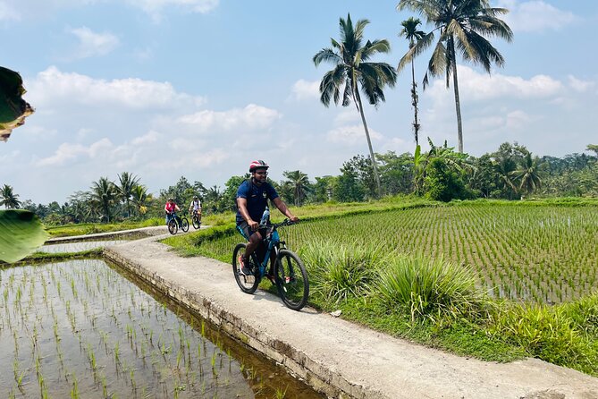 Ubud Ebikes Tour to Tegallalang Rice Terrace - Customer Reviews and Ratings