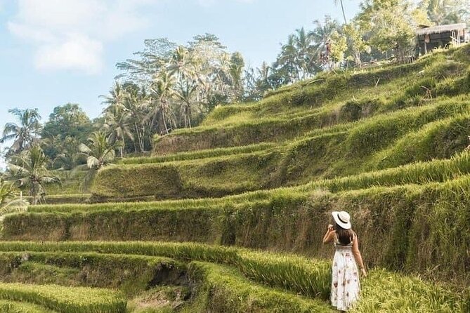 Ubud in a Day: Rice Terrace, Holy Water Temple, Waterfall, Arts - Taste of Local Cuisine